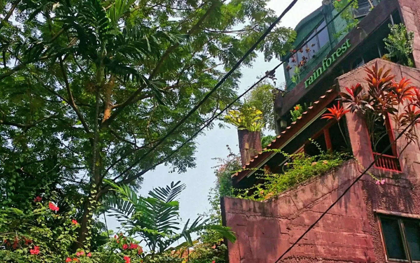 Rainforest Bed & Breakfast Kuala Lumpur