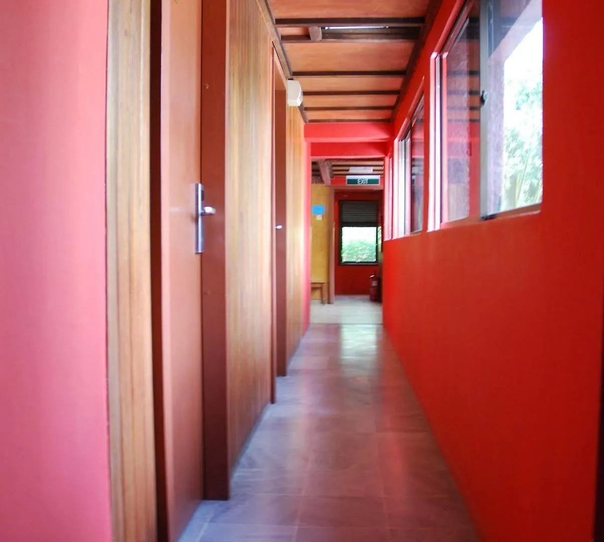 Vandrarhem Rainforest Bed & Breakfast Kuala Lumpur Malaysia